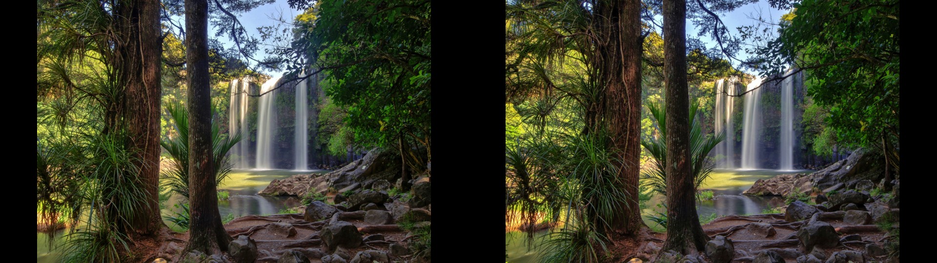 Whangarei Falls